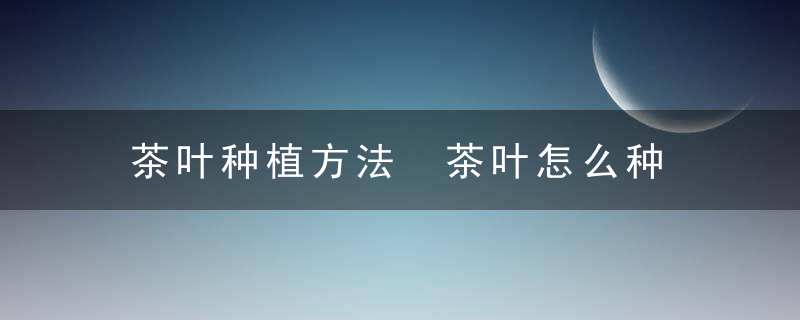 茶叶种植方法 茶叶怎么种